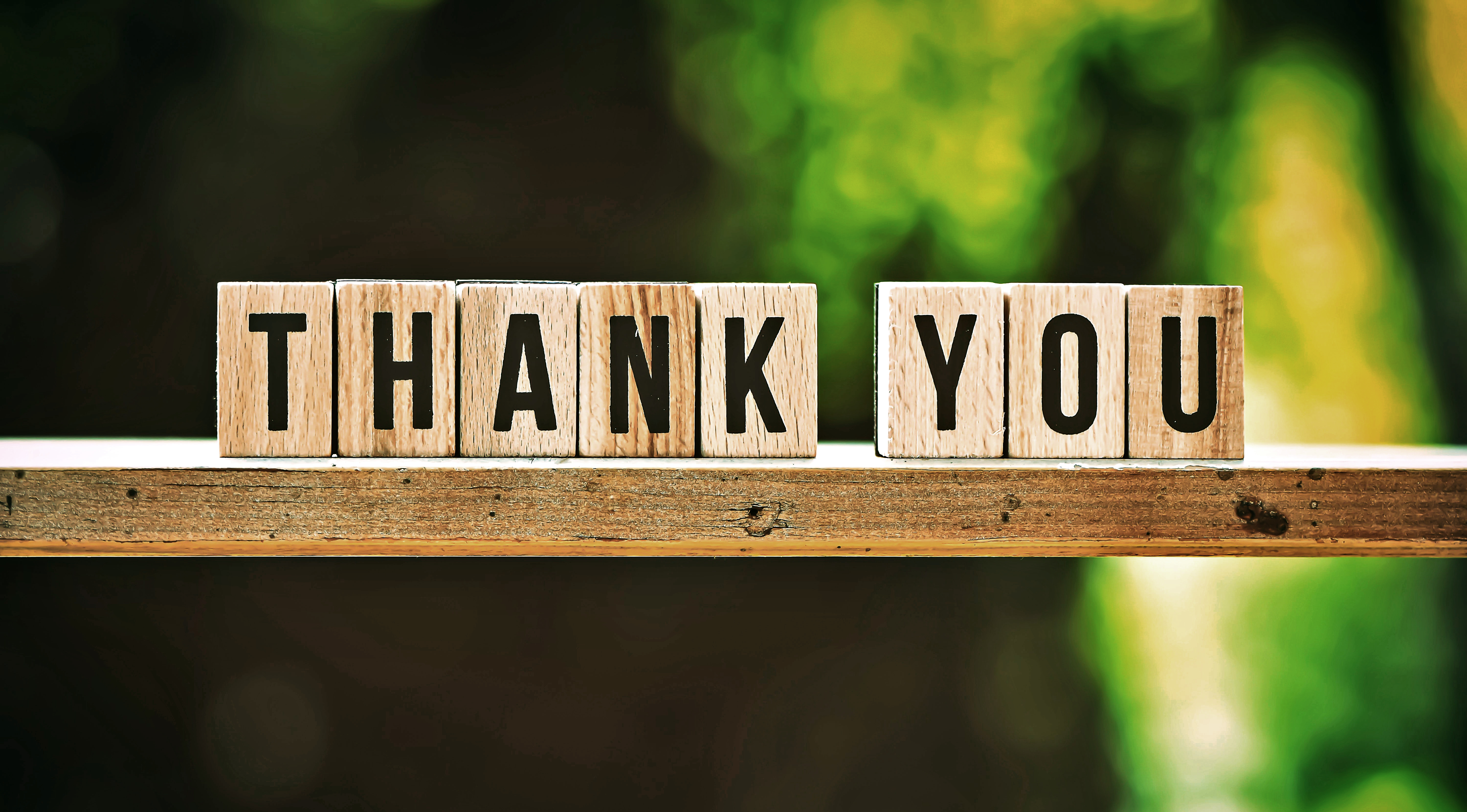 Danke - Thank you (c) unsplash.com / Alexas Fotos