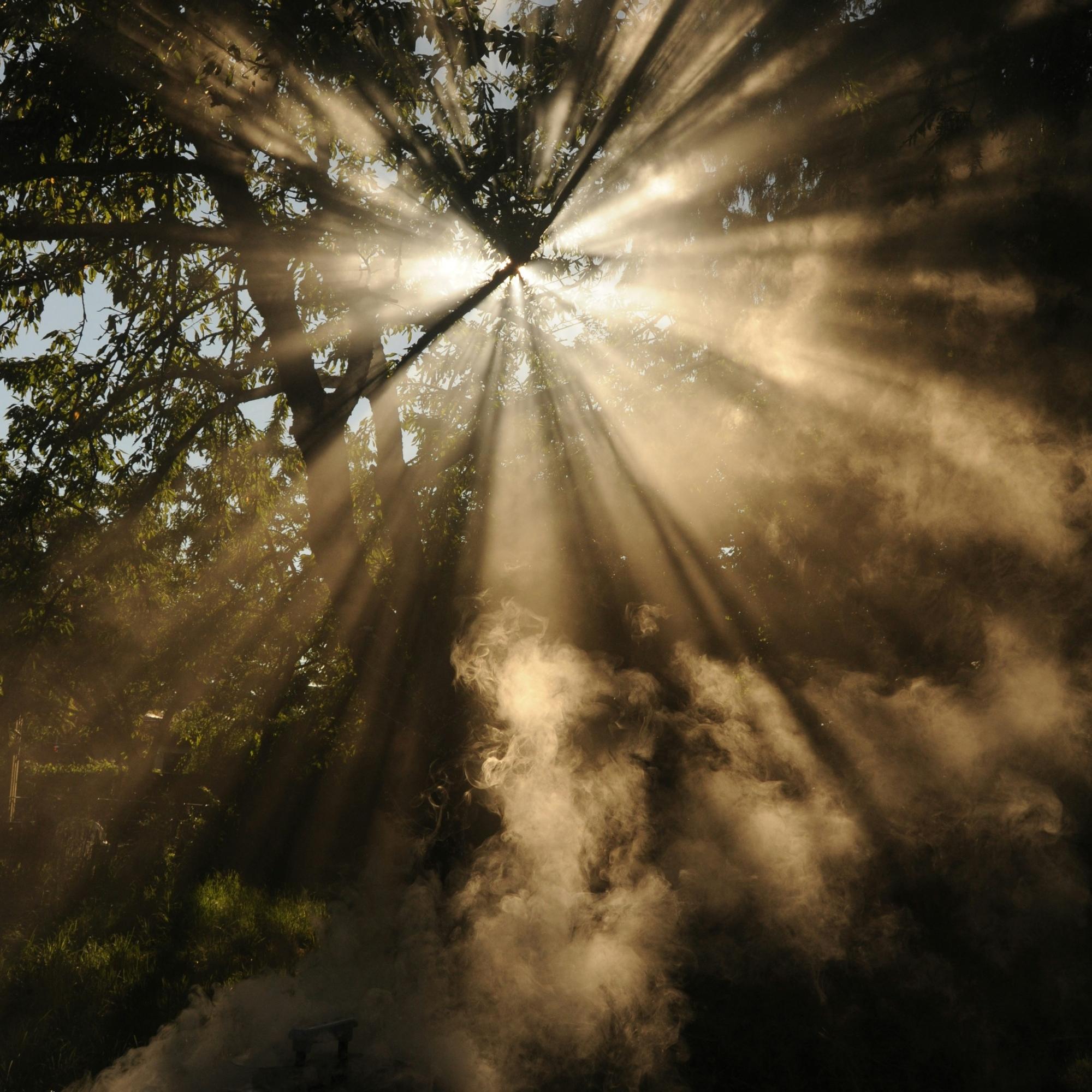 licht